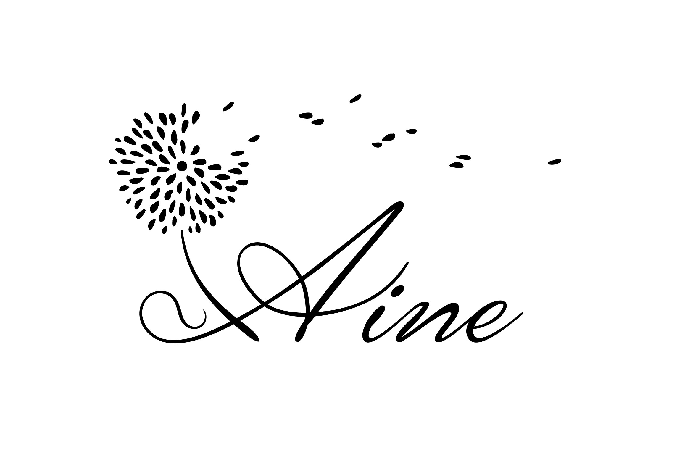 AINE - Tienda moda online